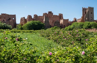 Morocco-tours-Rosevallei