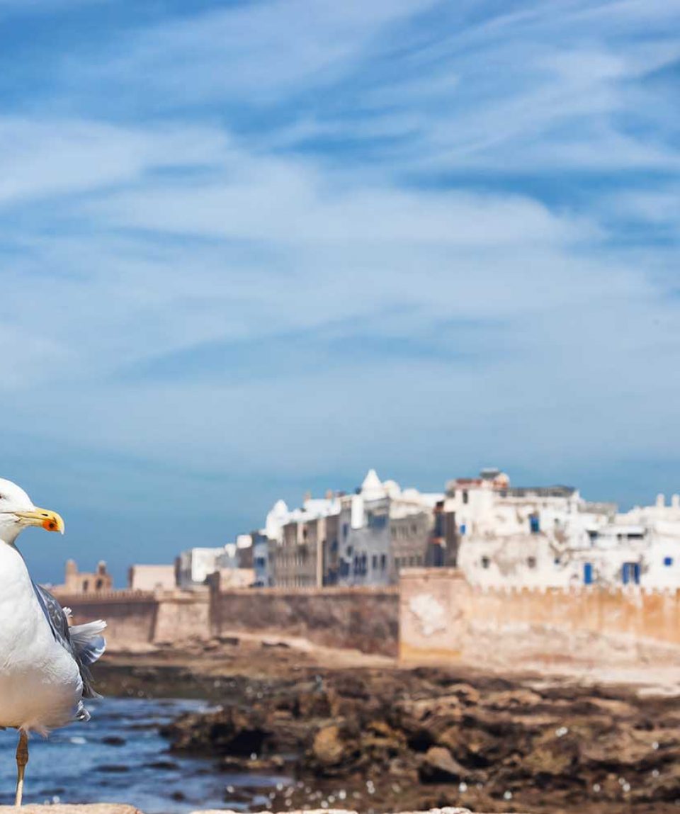 essaouira_excursion